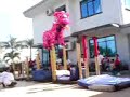 Chinese New Year (Spring Festival) Lion dance Chinese New Year (Spring Festival) Lion dance