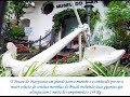 Conhe�a a cidade de Santos - BR