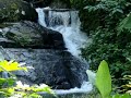 Viaje a la cascada 