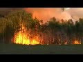 Efectos del calentamiento global