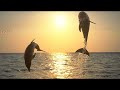 Musica relajante hermosos paisajes-relaxing music beautiful landscapes