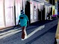 Le Fl�neur