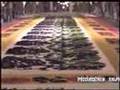 TAPETES DE LA FERIA DE IXTENCO