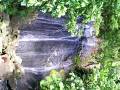 videos de smelling orchids PR.MP4