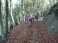 videos de Mugel bike al Falterona