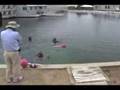 ETS S.O.N.I.A. in Autonomous Underwater Vehicle Competition