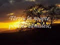 Nop?i albe Nop?i albe