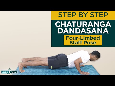 Chaturanga Dandasana (Four-Limbed Staff Pose)
