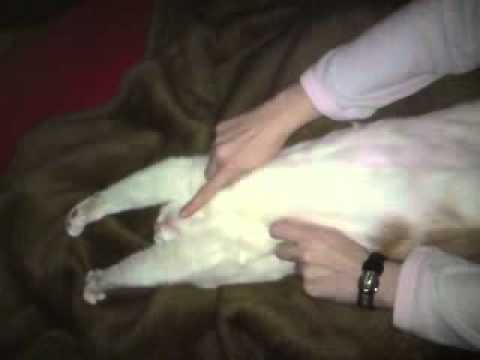 kitzeln