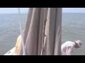 videos de 100 pound Tarpon