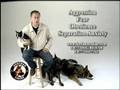 Dorfman Canine, Bay Area Dog Training
