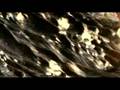  - MovieZen Video