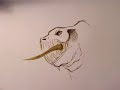 sweet, pink dragons cute face speed drawing