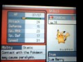 Pikachu That Knows Surf (Total Legit)