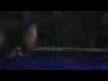 videos de 5 red belly piranha's snack on a fantail goldfish