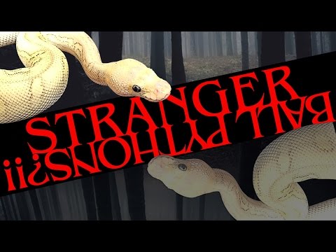 YouTube reptile video
