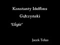 dziwni-letnicy-k-i-gaczyski.html
