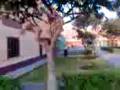 videos de NJP the bad boys