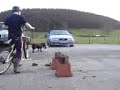 me doing a 1ft 9inch bunny hop me doing a 1ft 9inch bunny hop