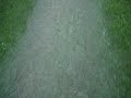 flooding flooding