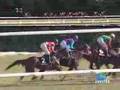 ポルトフィーノ エルフィンステークス 2008.02.11