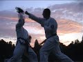 Taekwon-Do Baden - Training & Budo Show - Peter Regan