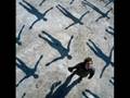 Muse-Apocalypse-Plea