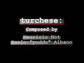IROTOMMY BAND - turchese - progressive version