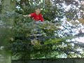 vanuit boom op trampoline vanuit boom op trampoline
