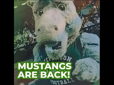 The Mustangs Are Back