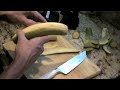 Baked Plantain Chips with Garlic Sauce