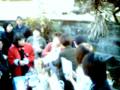 ネコヤド大市 2009年12月 part5