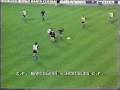videos de Schuster lesion 1981