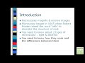 Types of Microscopes (Examville)