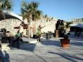 videos de Troy Anthony live @ snorkel park, Dockyard, Bermuda