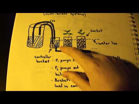 Vertical Hydroponics