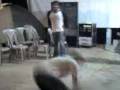 videos de Break Dance en Poptún Campamento 2008 IDEC