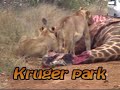 Travelling around Southern Africa
