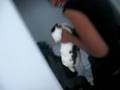 videos de lookiee at the bunny =]