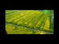 جوک شوخی باحال دوربین مخفی سوتی میرحسین احمدی نژاد کروبی