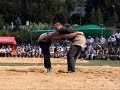 Schwingen / Swiss Wrestling