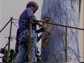 Chain Saw Carving