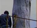 Chain Saw Carving