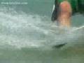 Nobile Skim Board - Mark Shinn Kiteboarding