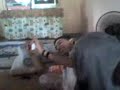 budak kena ngorat budak kena ngorat