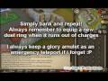 Runescape Summoning Guide 1-99 - Best Methods & Pouches To Make with all Charms