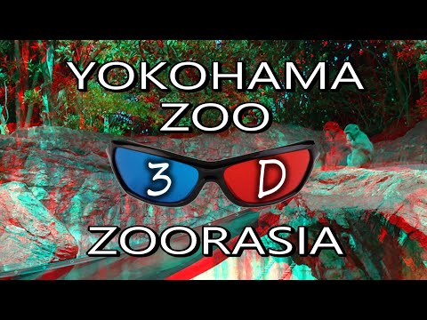 Yokohama Zoo, Zoorasia Japan in 3D Anaglyph - What are the animals? 横浜ズーラシア動物園 - YouTube