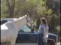 Silver Silver