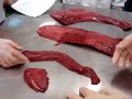 bazo anatomia ceu veterinaria