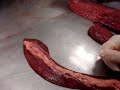 bazo anatomia ceu veterinaria